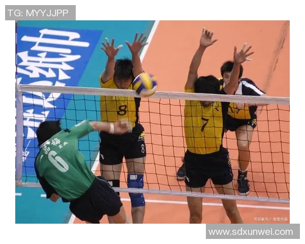 武汉排球队在排球意识排行榜中荣获第五名展现出强大实力与团队协作精神